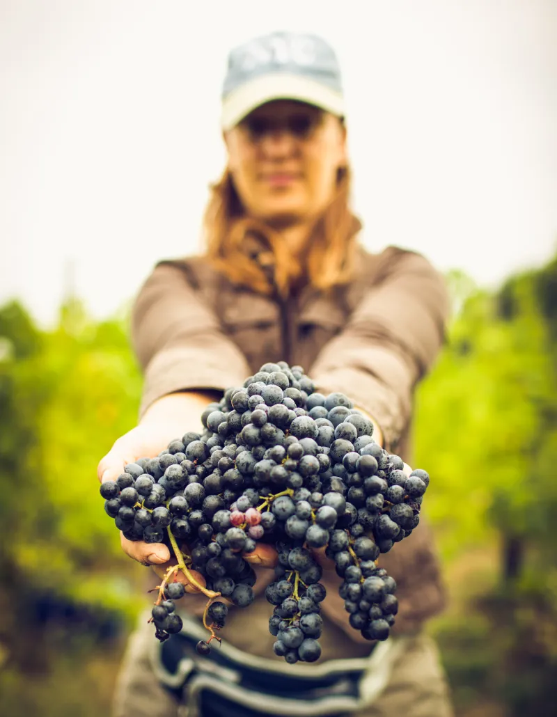 La Filosofia produttiva